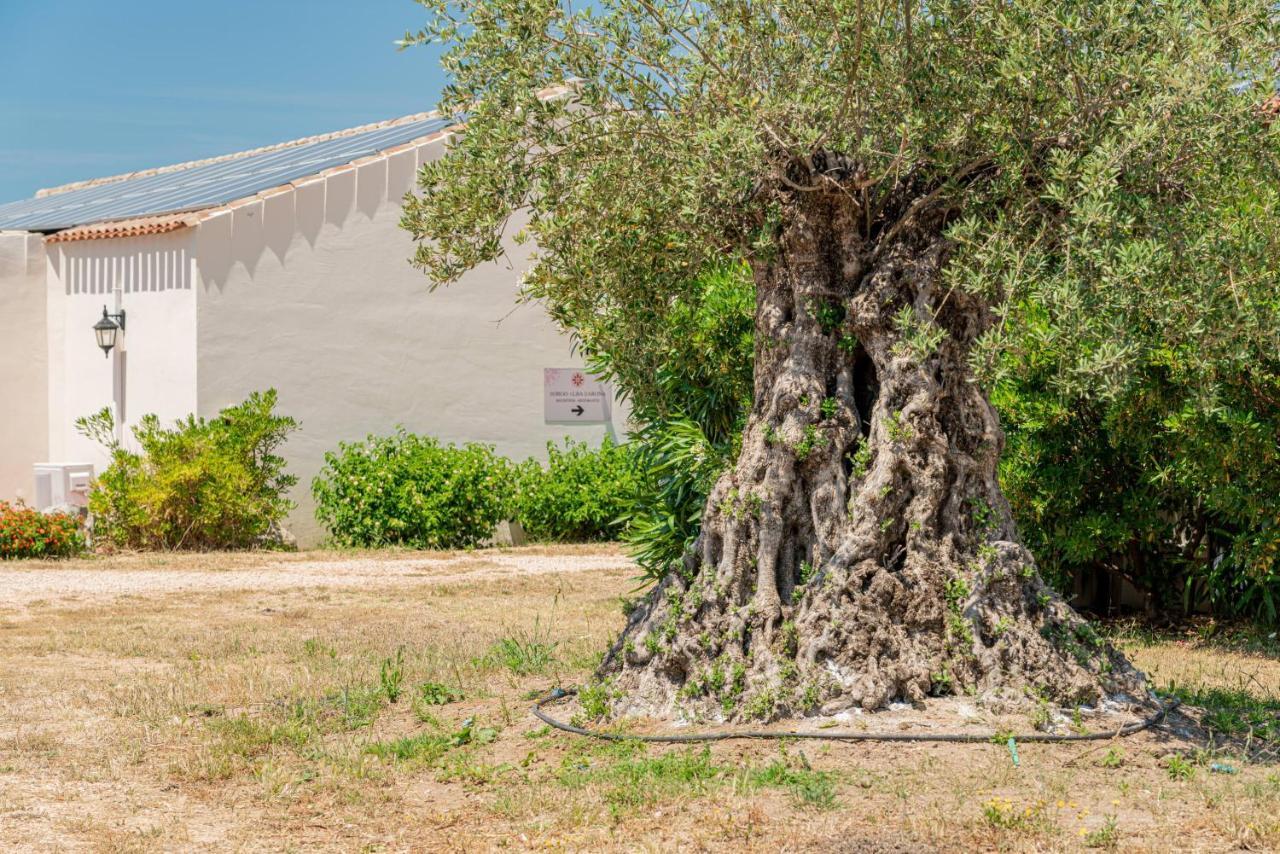 Borgo Alba Barona Turismo Rurale 골푸아랑시 외부 사진